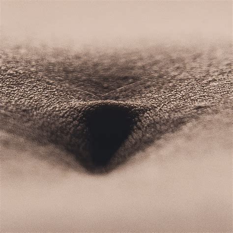 Skin Symphony Sensual Nude Photography Erotic Art Print Kinky Wall Decor Naked Woman Art Body