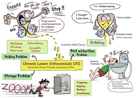 Lower Urinary Tract Obstruction Clinical Features Creative Med Doses