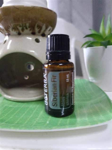 Doterra Siberian Fir Ml Lazada Co Th