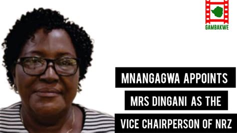 Mnangagwa Appoints Mrs Molly Dingani As The Nrz Deputy Chairperson