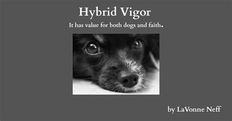 Hybrid Vigor – Adventist Today