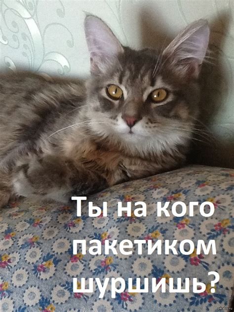 На кого? | Пикабу