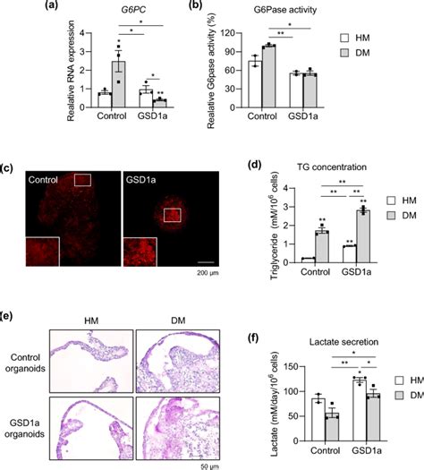 Efficient And Reproducible Generation Of Human Induced Pluripotent Stem