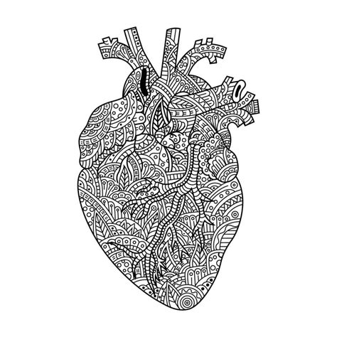 Heart line art 11862279 Vector Art at Vecteezy