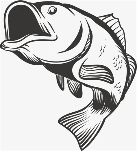 Jumping Fish Vector at GetDrawings | Free download