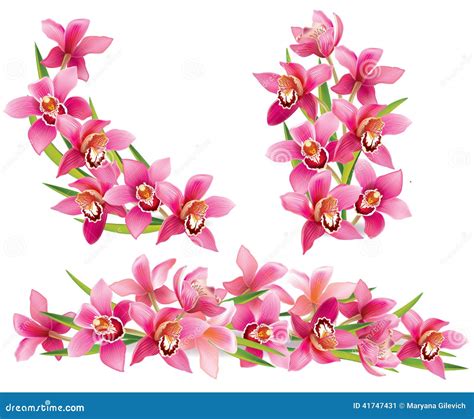 Garland of orchids stock vector. Illustration of clip - 41747431