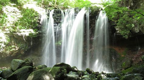 【連載】ドライブで楽しむおすすめの旅 ～春本番の那須高原へ出かけよう！～ Kurashi No