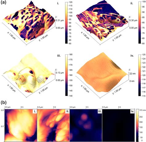 Next Page Representative AFM Images Of Etched And Unetched Samples