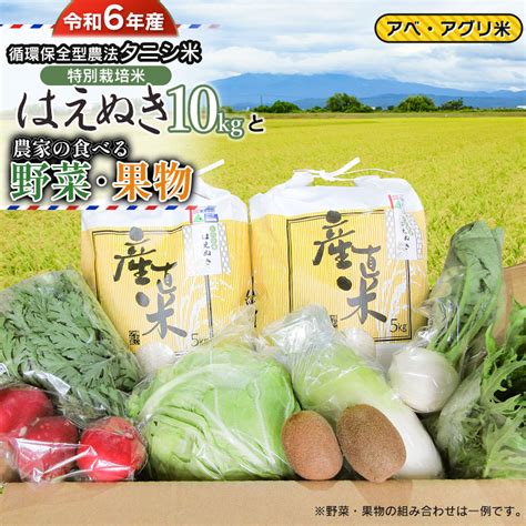 【令和6年産 先行予約】 特別栽培米 はえぬき（タニシ米）10kg（5kg×2袋）と農家の食べる野菜・果物 山形県鶴岡産 アベ・アグリ米の返礼