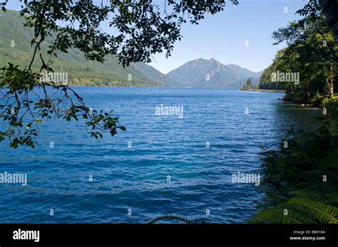 Lake Crescent Olympic National Park Washington Usa Stock Photo Alamy