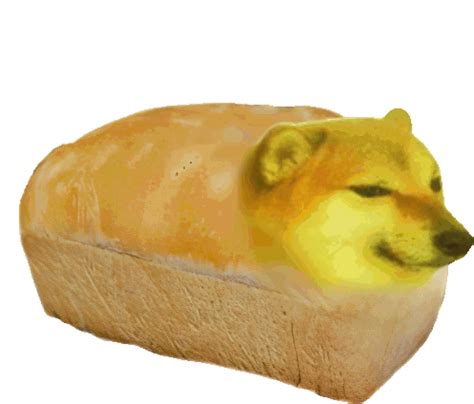 Bread Dog Sticker - Bread Dog - Discover & Share GIFs