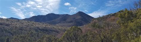 McKittrick Canyon Nature Loop Trail, Texas - 172 Reviews, Map | AllTrails