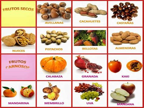 Frutos secos y carnosos Frutos del otoño Otoño Actividades de otoño