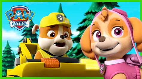 Skye And Rubble Help Fish Get Over A Beaver Dam Paw Patrol Rescue