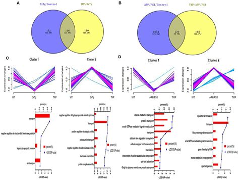 Frontiers Tetramethylpyrazine Improves Cognitive Impairment And