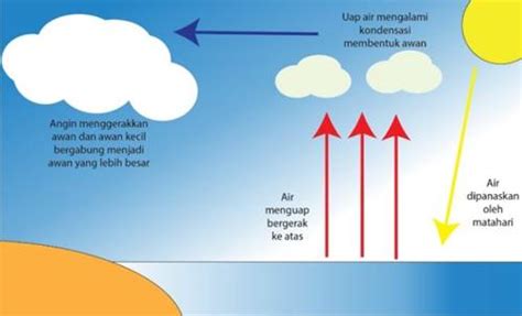 Proses Terjadinya Hujan Secara Singkat Dan Lengkap Beserta Gambarnya