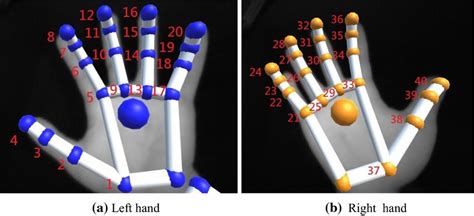 Finger Joint Numbering