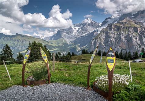 muerren allmendhubel playground flower trail packed