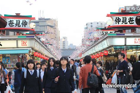 Tokyo, Japan: The Tourist Sites | The Adventures of a Wide-eyed Cat