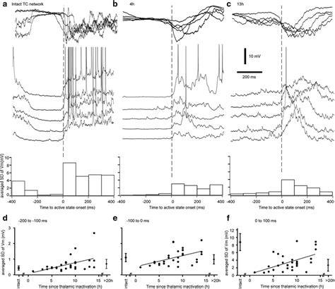 Upregulation of synaptic activites after thalamic inactivation ...