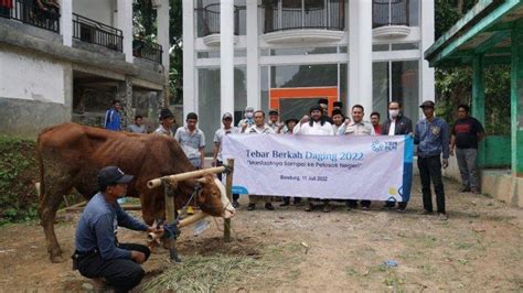 Hari Raya Idul Adha 1443 H YBM PLN UIP JBT Tebar Kebaikan Melalui