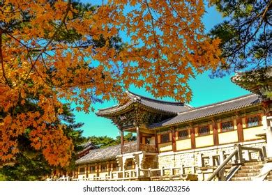 Bulguksa Temple Autumn Gyeongju Korea Stock Photo 1186203256 | Shutterstock