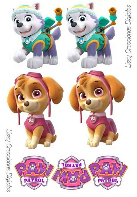 Pin De Carmen Martinez En Ambientacion Paw Patrol Fiesta Infantil Paw