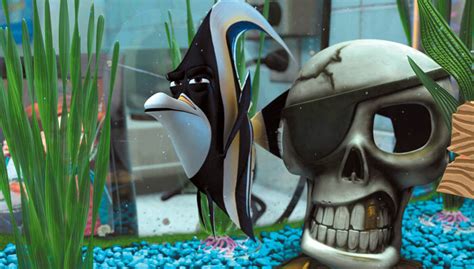 Реальные рыбки из мультфильма «В поисках Немо»