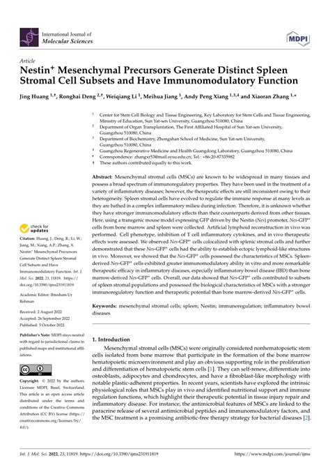 Full Article Nestin Mesenchymal Precursors Generate Distinct Spleen