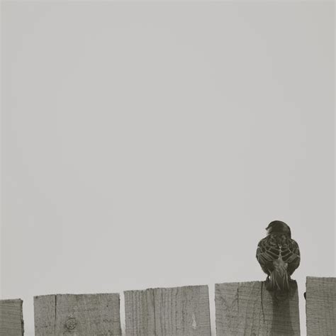 Premium Photo Rear View Of Man Standing Against Clear Sky