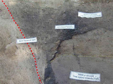 The Western Geologist: The Hayward Fault Exposed