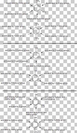 Line Point Angle Diagram Organism Png Clipart Angle Area Art