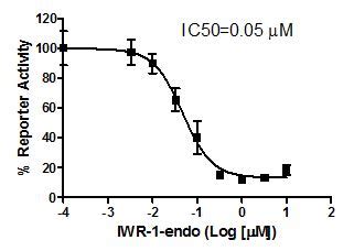 Transfection Collection Tm Tcf Lef Transient Pack Wnt Beta Catenin