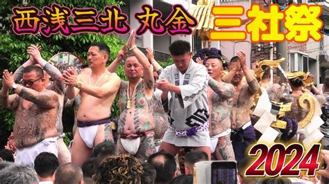 2024 三社祭 西浅三北 丸金 激闘の神輿渡御 高橋組 刺青の迫力満点 大衆を沸かす Youtube