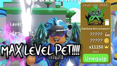 I Got Max Level Pet And Its Insane Saber Simulator Youtube