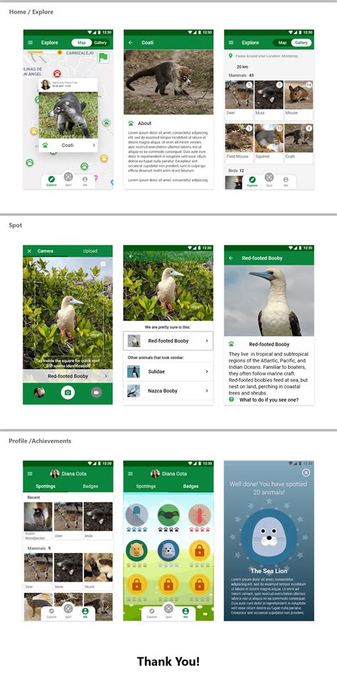 wild animal spotting 5