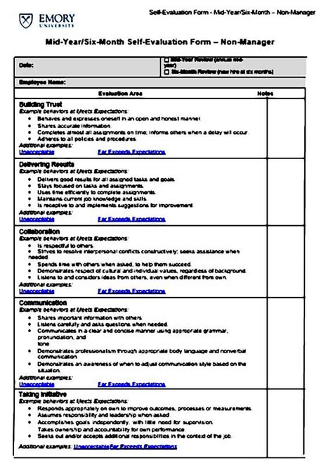 Employee Self-Evaluation Sample | Mous Syusa