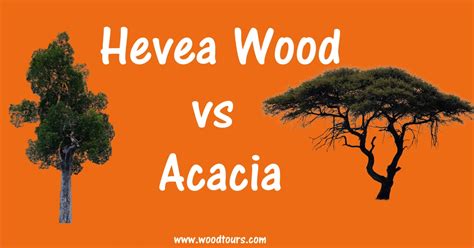 Which Is Best Hevea Wood Vs Acacia Complete Guide Step By Step