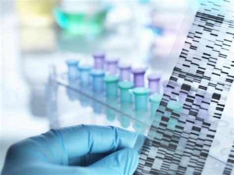 Wat Zijn Genen Dna En Chromosomen Med Nl