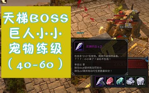 荒野之地2 新大陆 天梯boss 巨人‘小小’（40 60）宠物练级 Wild Terra 2 New Lands 游戏攻略