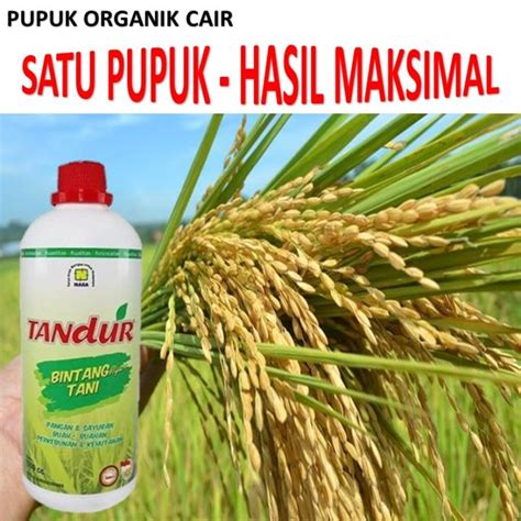 Pupuk Organik Cair 1 Liter Untuk Pertumbuhan Pembuhan Tanaman Buah Dan