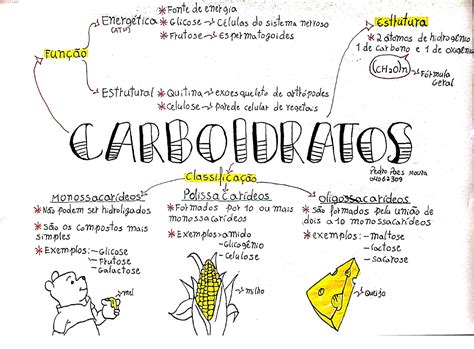 Carboidratos Mapa Mental 1