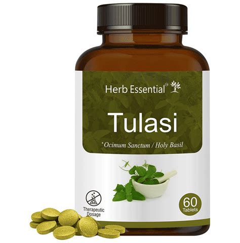 Herb Essential Tulasi Ocimum Sanctum Holy Basil Mg Tablet Buy