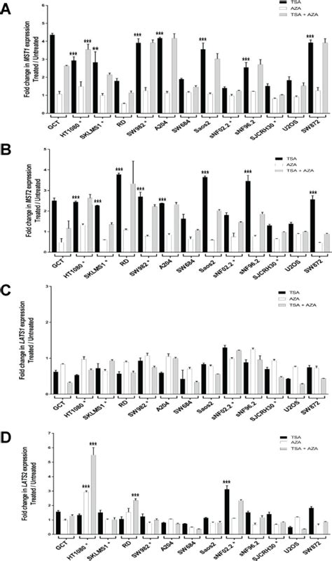 Increase In Expression Of The Hippo Kinases After Treatment With