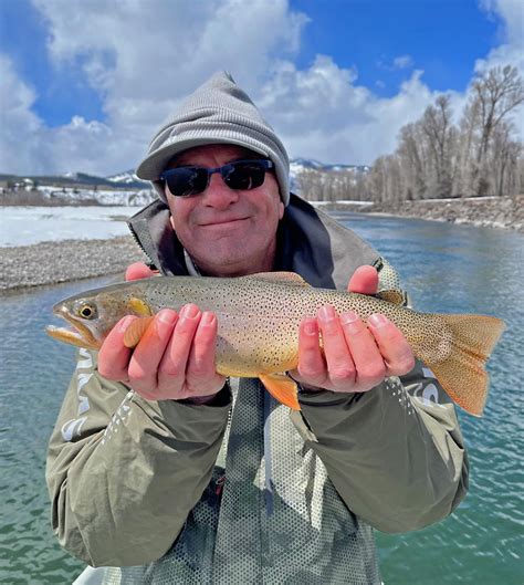 Snake River Fishing Report Spring Cutthroats - WorldCast Anglers