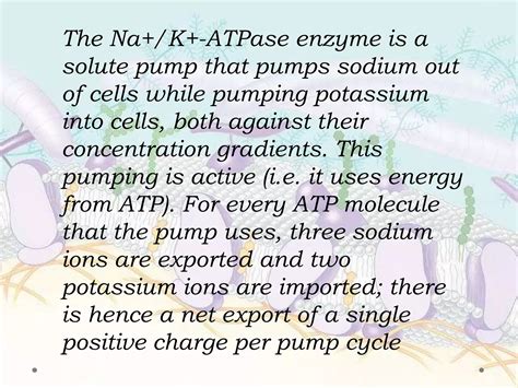 Sodium And Potassium Pump 2