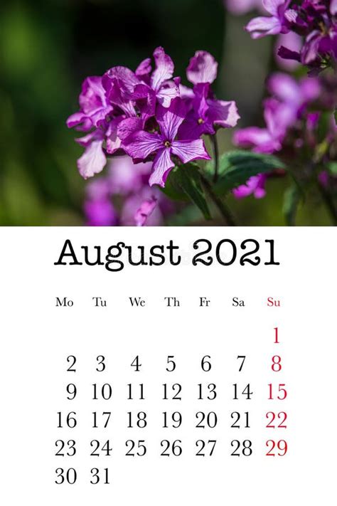 Tarjeta De Calendario Para El Mes De Agosto Imagen De Archivo Imagen