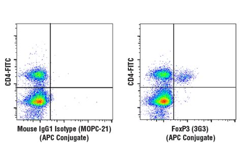 Mouse Essential T Cell Markers Flow Cytometry Panel | Cell Signaling ...