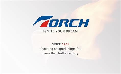 TORCH F6RTC Spark Plug Replace for NGK BPR6ES, Bosch WR6DC WR7DC ...