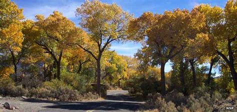 Dayton State Park